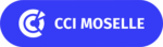 Logo Cci Moselle Client Cap Conseils client CAP CONSEILS